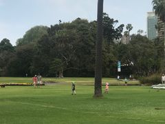 -悉尼歌剧院