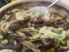 -洞庭家宴·头牌甲鱼(广渠门店)