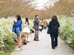 -共青国家森林公园-售票处