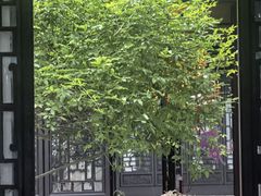 -南京市民俗博物馆(甘熙故居)