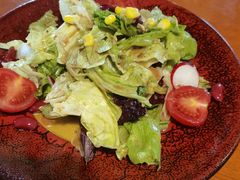 田园时蔬沙拉-布拉格餐厅· 中欧捷克菜(全国首店)