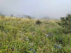 -白草畔自然风景区