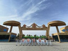 -金塔沙漠胡杨林景区