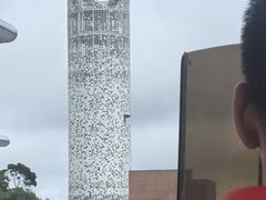 -东寨港红树林旅游区