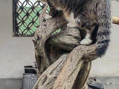 -小雅青年旅舍(平江路店)