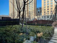 -康莱德酒店·美庭自助餐厅