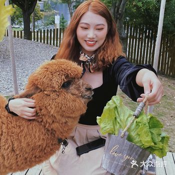 成都打卡 | 麋客岛动物农场~这个假期让我们一起撸羊驼鸭