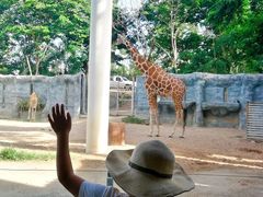 -清迈夜间动物园