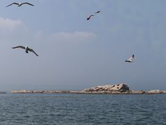 -刘公岛景区