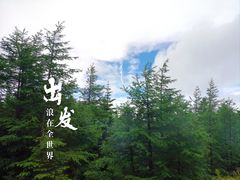 -富士山吉田線五合目