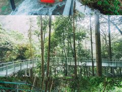 -龙湾潭国家森林公园