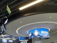 -Hopo Snow 城市滑雪空间(来福士广场购物中心店)