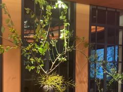 -滇野云南野生菌餐厅(陕西南路店)