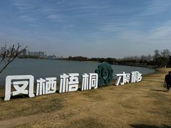 -桐乡凤凰湖