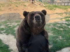 -祥源·阜阳生态乐园