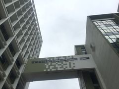 -香港大学