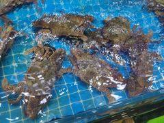 -醉壹号海鲜大排档(厦门美食地标店)