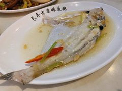 -长平老姿娘夜粥(平东一街店)