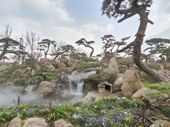 -罗红摄影艺术馆