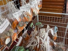 -蓝湾碧波·老字号·疍家非遗海上餐厅