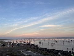 -南汇新城海滩