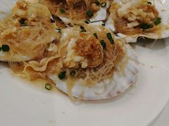 蒜蓉粉丝蒸扇贝-天喜酒楼饭市·茶市(同德皇宫店)