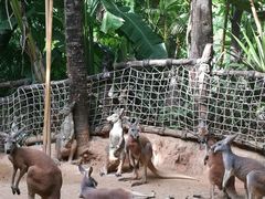 -三亚千古情景区游客中心-接待中心