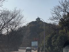 -上海佘山国家森林公园天马山园
