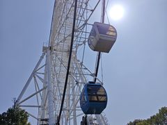 -常州淹城野生动物世界