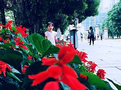 -广西大学(大学东路校区)