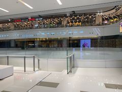 -TheRink大零溜冰场(IFS国金中心店)