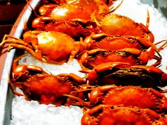 -圆顶阁西餐厅(郑州索菲特国际饭店 )