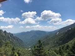 -关山草原