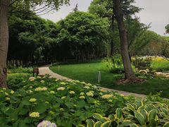 -渤公岛生态公园