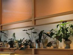 -桂满陇·手作小笼包&江南叫花鸡(中山公园店)