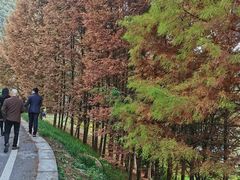 -贵阳市花溪国家城市湿地公园