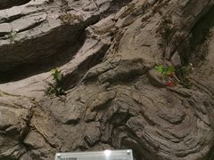 -房山世界地质公园博物馆