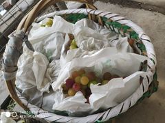 -马陆小张葡萄园农家乐