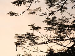 -厦门园林博览苑