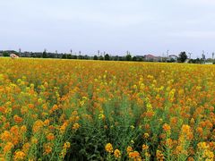 -中国天府农业博览园