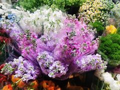 -循礼门鲜花花市(武汉循礼门店)