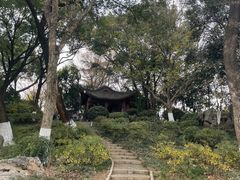 -武汉动物园