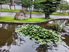 -乐山乌木文化博览苑