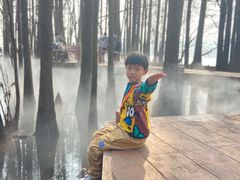 -东湖落雁景区