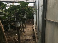 -美家乐农庄·露营·团建(大治路店)