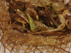 android_upload_pic-哈老太太(联盟路店)