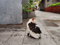 -荔湾湖公园