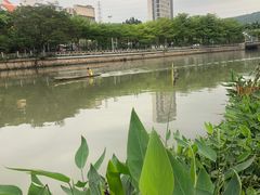 -凤城·食都