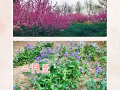 -北京西山国家森林公园