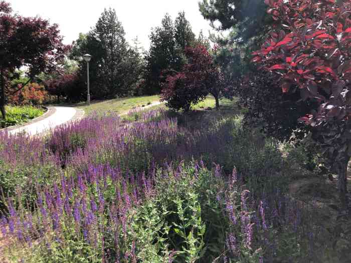 石榴庄公园-"石榴庄公园位于丰台区南苑地区.是石榴庄村.